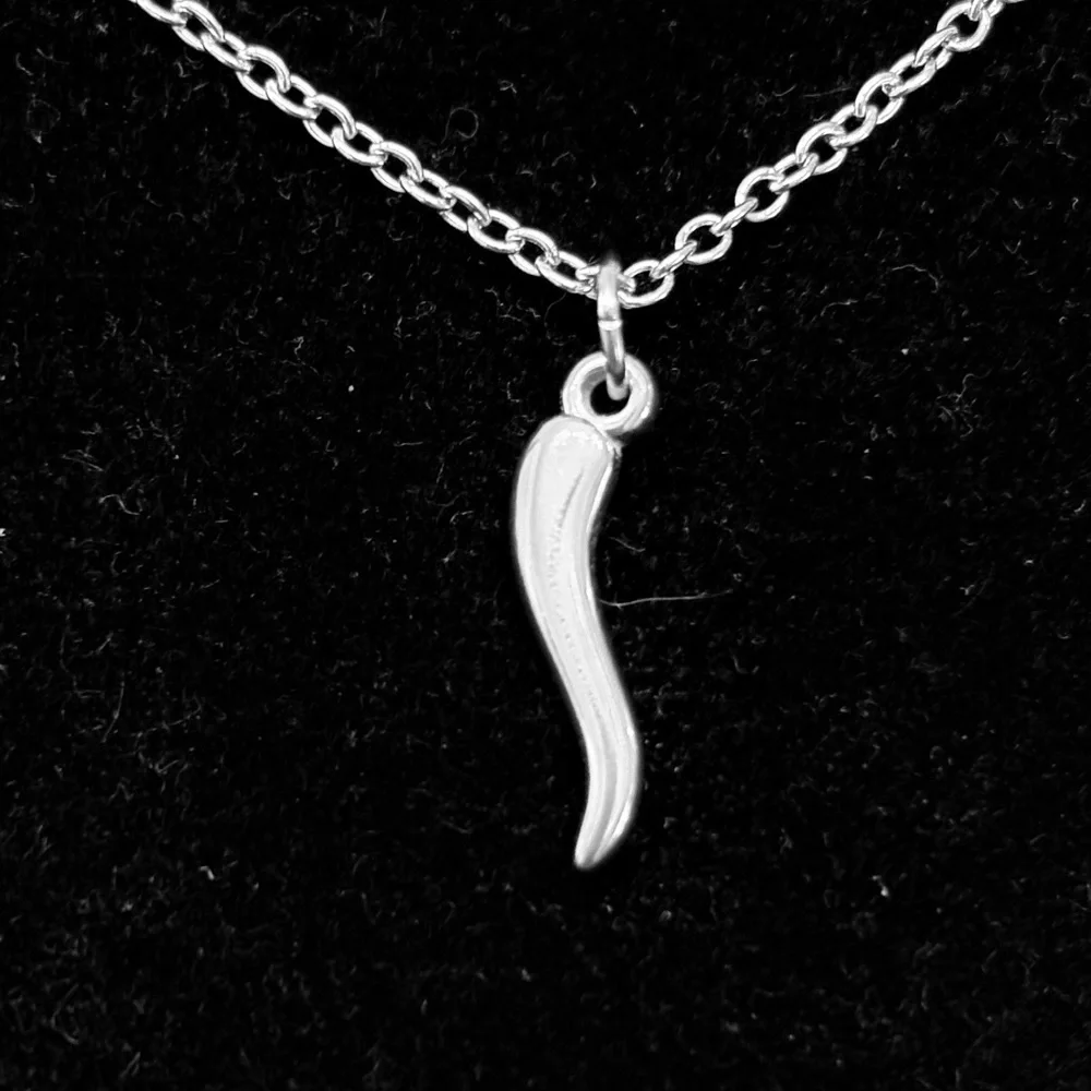 Youth/Child Italian Horn stainless steel necklace
